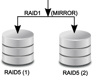 RAID 5 + 1-indeling